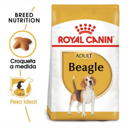 Royal Canin Beagle pienso para perro adulto  - Kompymascotas