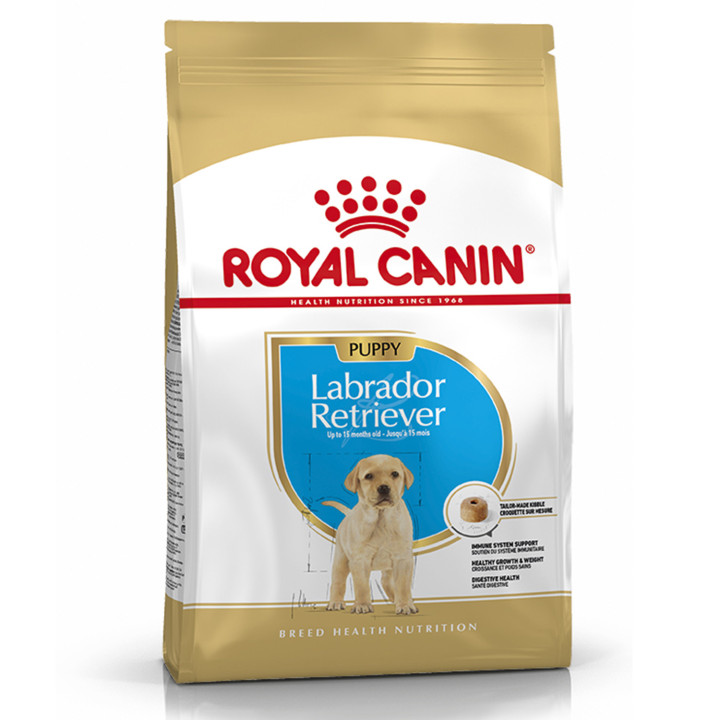 Royal Canin Labrador Puppy pienso para cachorros  - Kompymascotas