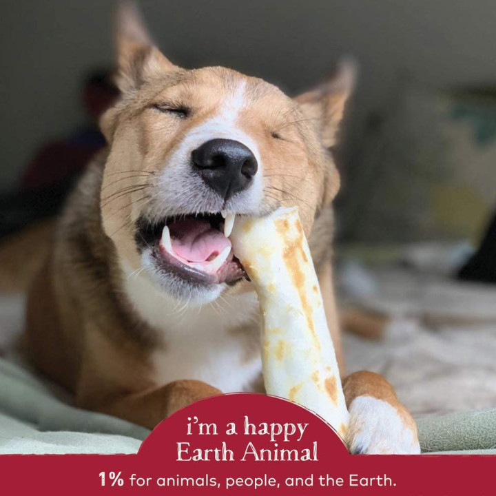 Earth Animal Chew Medium - Kompymascotas