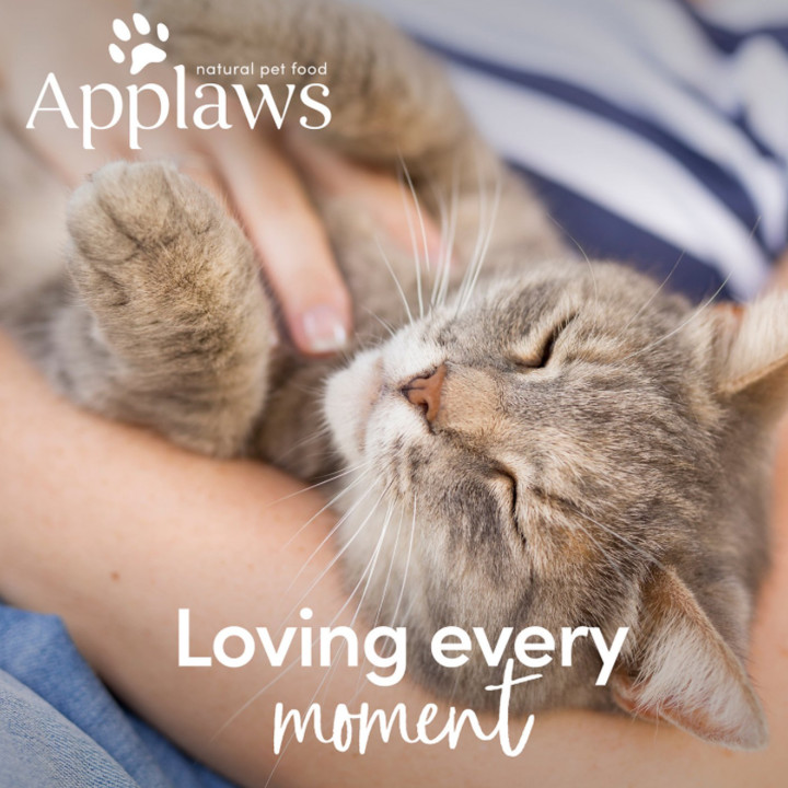 Applaws snack lomo de atún, golosinas para gato - Kompymascotas