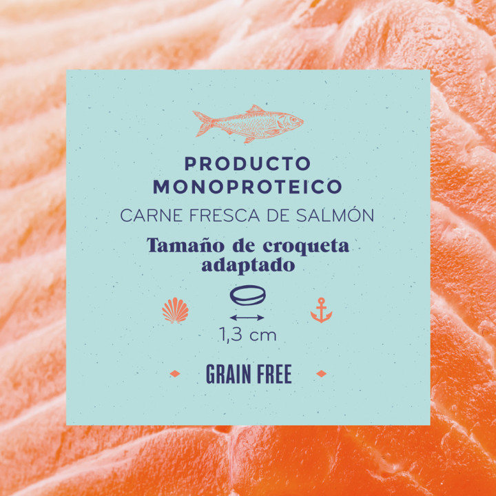 Boske Adult Grain Free Salmón - Kompymascotas