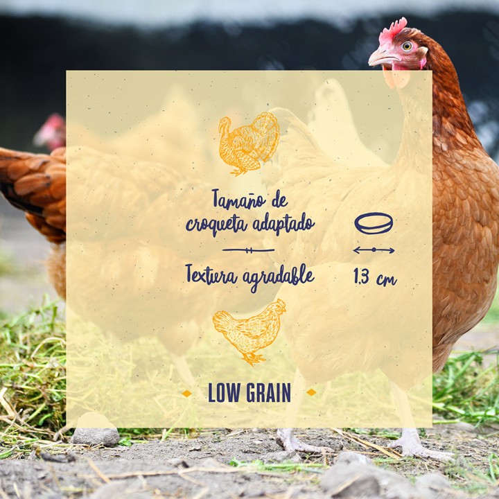 Boske Adult Chicken & Turkey Low Grain 