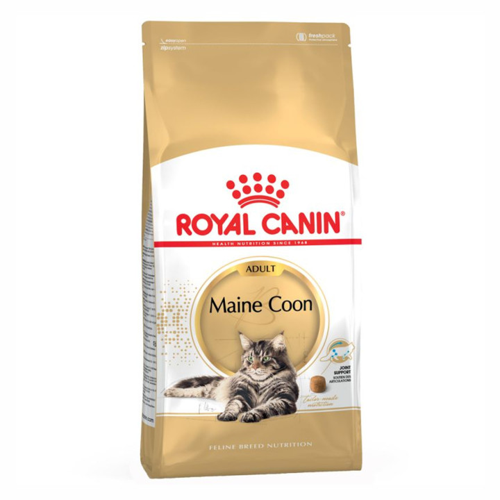 Royal Canin Maine Coon pienso para gato adulto  - Kompymascotas