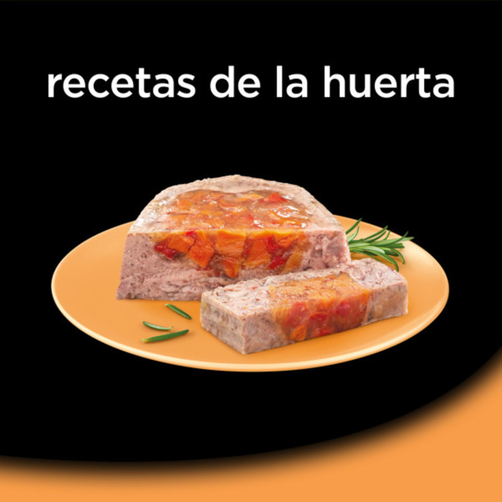 Cesar Comida Húmeda para Perros Recetas de la huerta en Paté y Gelatina Multipack