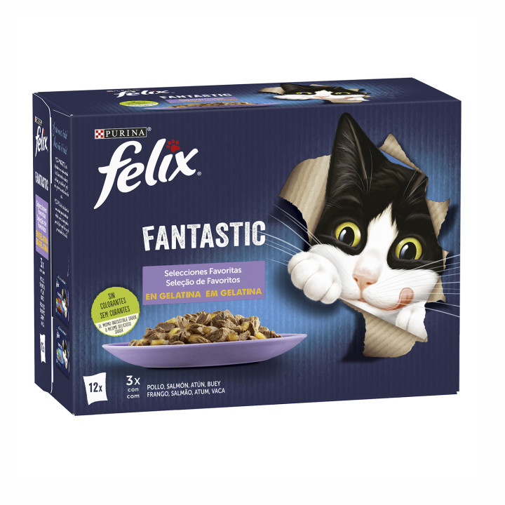 Purina Felix