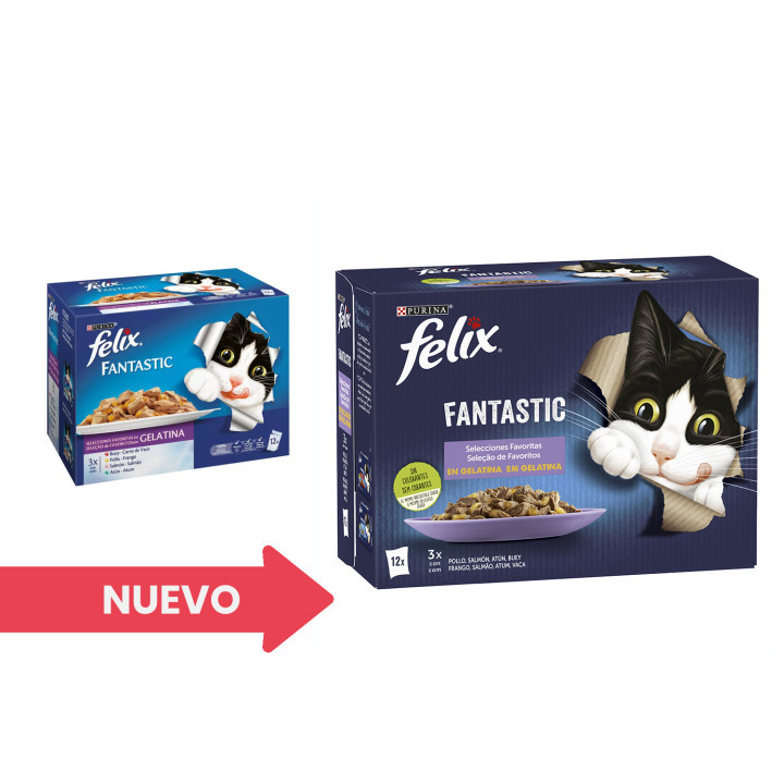 Purina Felix