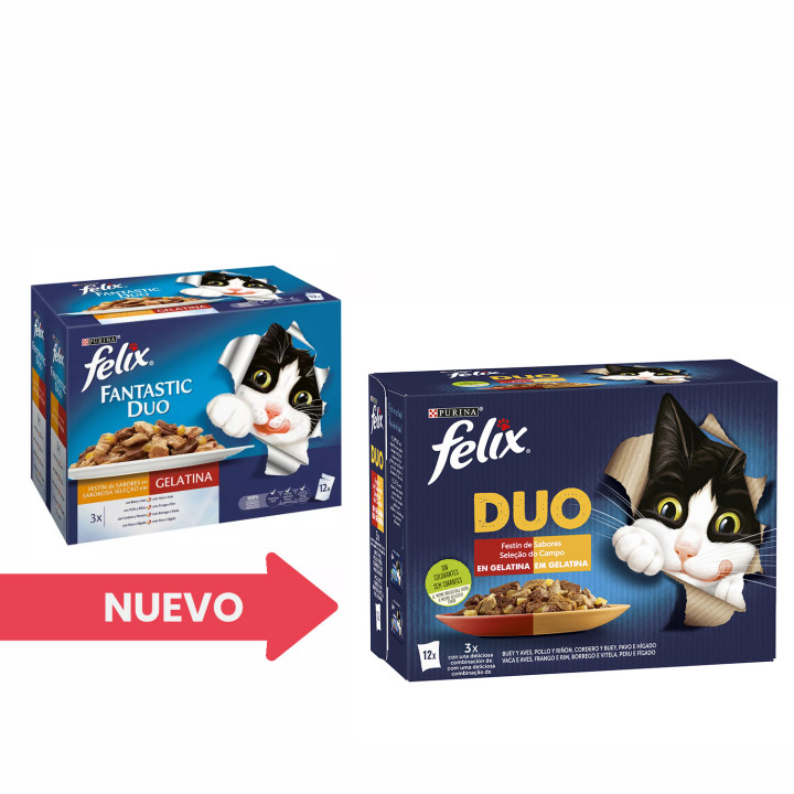 Purina Felix Fantastic Duo Delicious con carne 