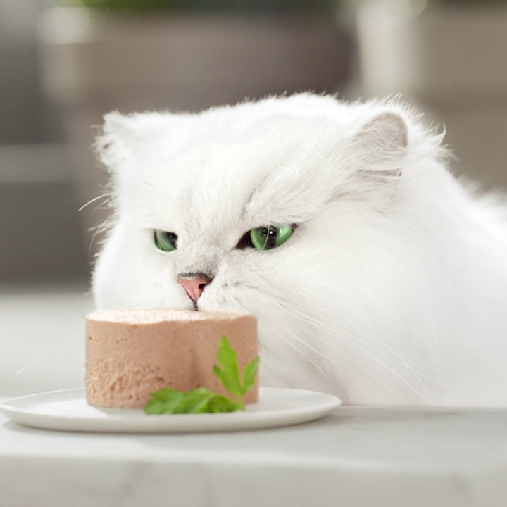 Purina Gourmet Gold Tarrine, comida húmeda para gatos - Kompymascotas