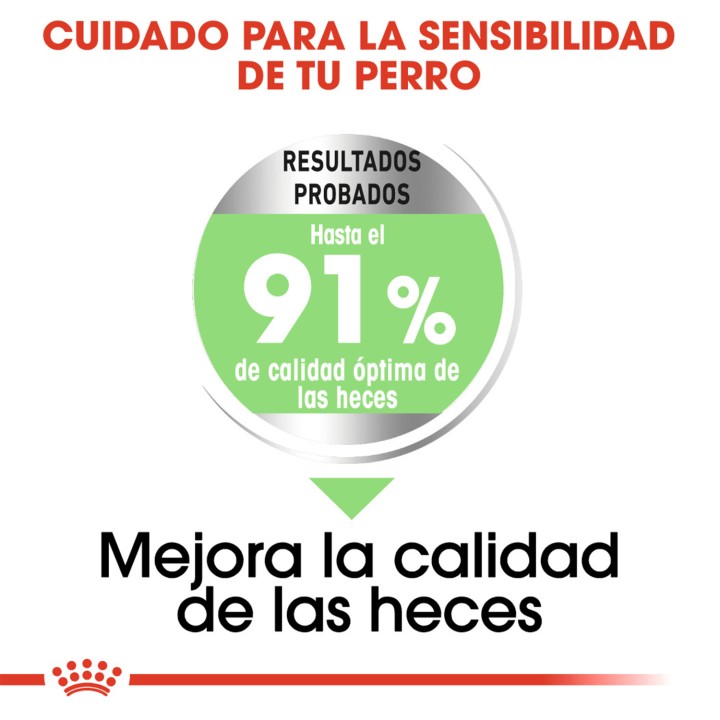 Royal Canin Medium Digestive Care Pienso para perros - Kompymascotas