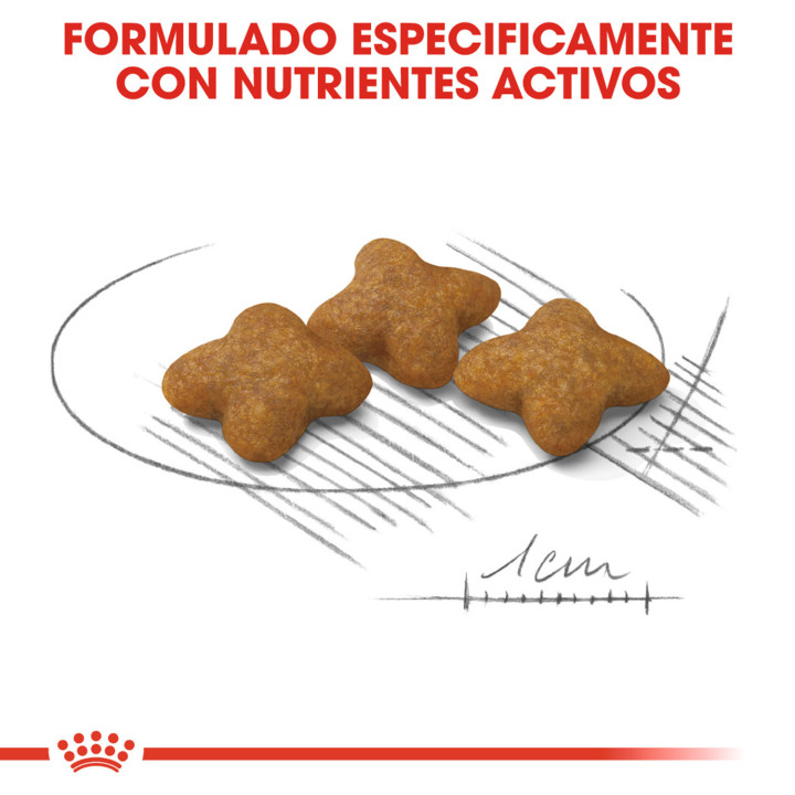 Royal Canin X-Small Sterilised Pienso para perros - Kompymascotas