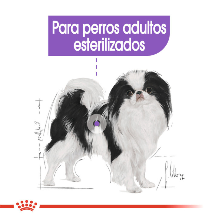 Royal Canin X-Small Sterilised Pienso para perros - Kompymascotas
