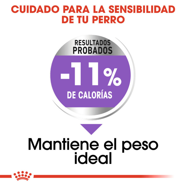 Royal Canin X-Small Sterilised Pienso para perros - Kompymascotas