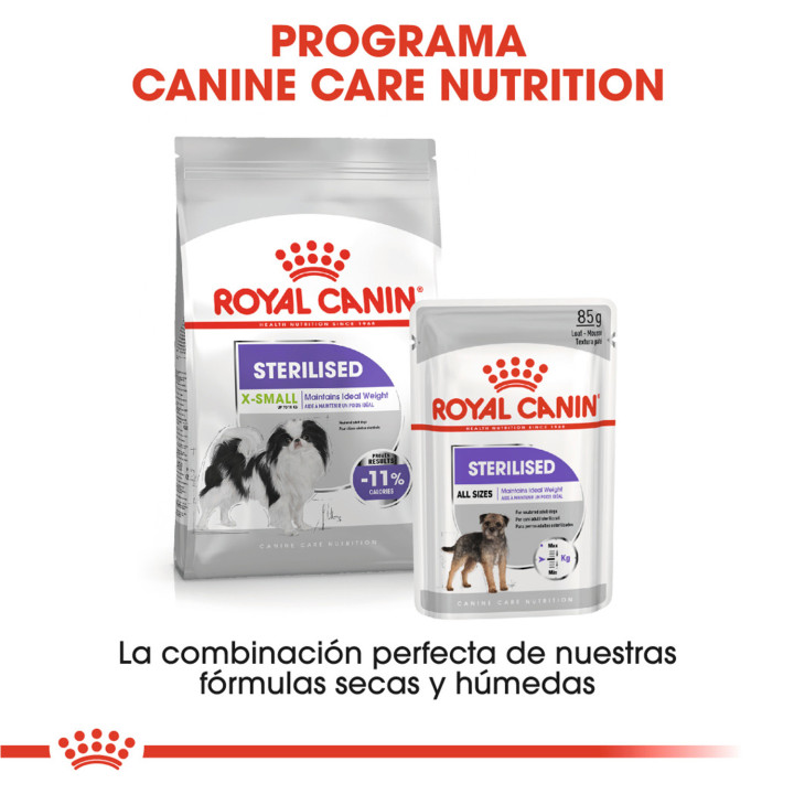 Royal Canin X-Small Sterilised Pienso para perros - Kompymascotas