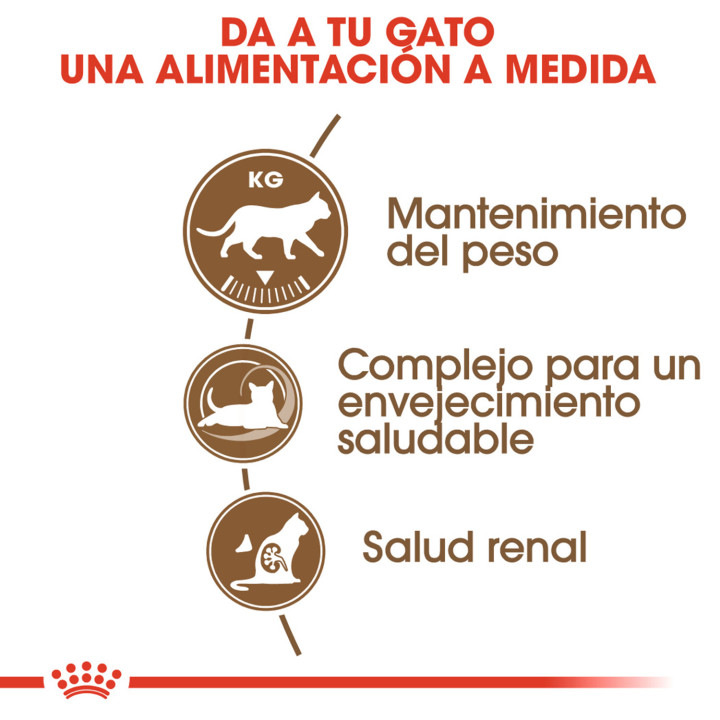 Royal Canin Sterilised +12, pienso para gatos esterilizados - Kompymascotas