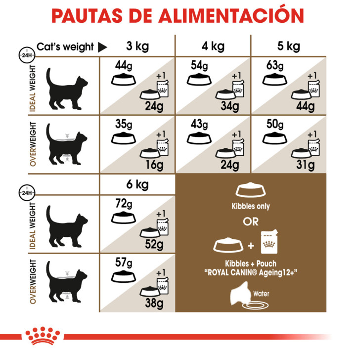 Royal Canin Sterilised +12, pienso para gatos esterilizados - Kompymascotas