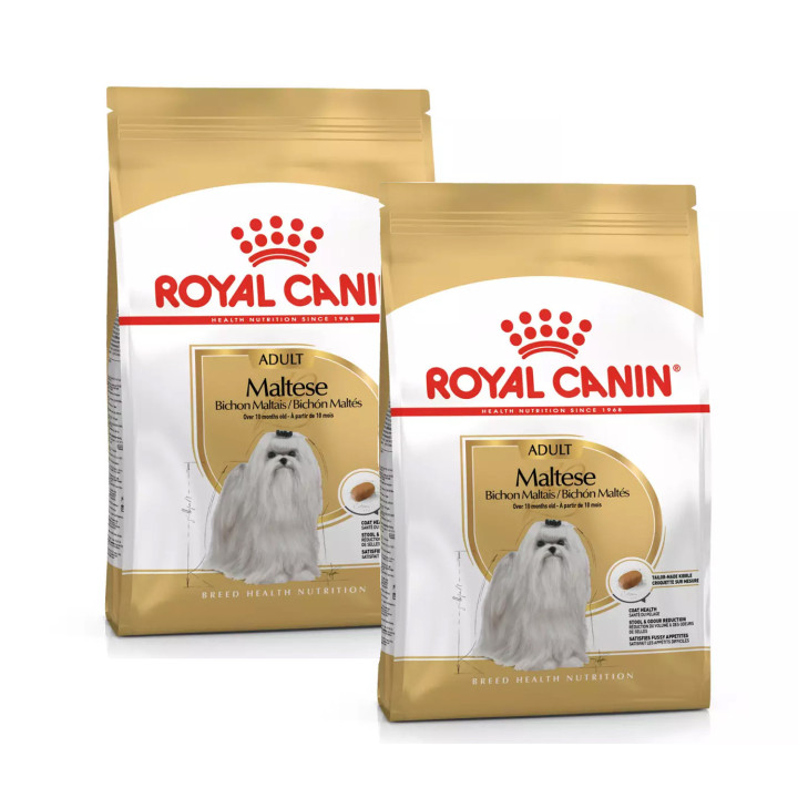 Royal Canin Maltese pienso para maltés adulto  - Kompymascotas