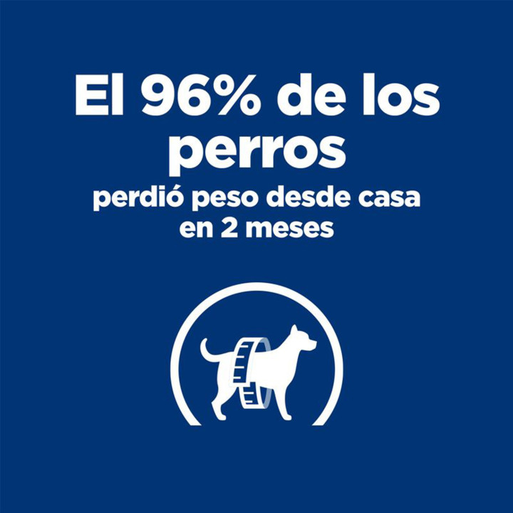 Hill's Prescription Diet Metabolic, Pienso para perros - Kompymascotas