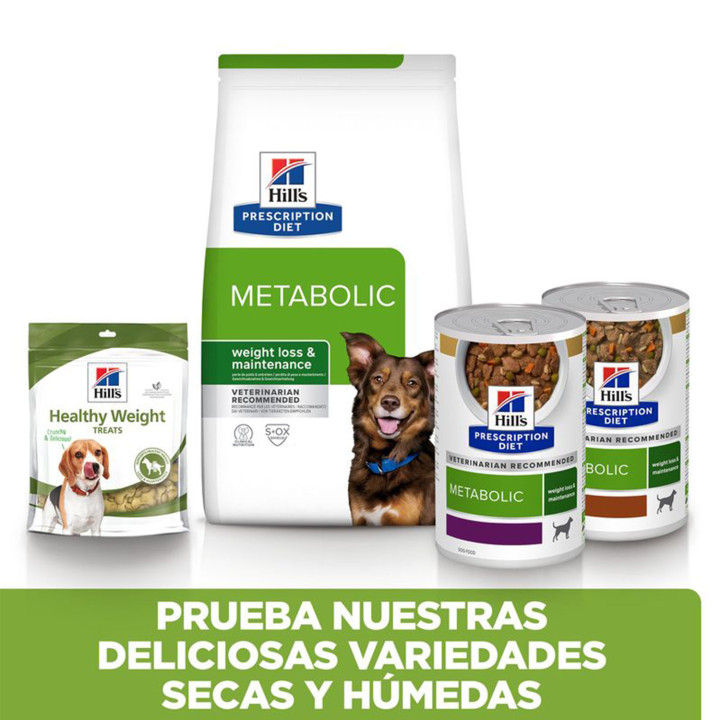 Hill's Prescription Diet Metabolic, Pienso para perros - Kompymascotas