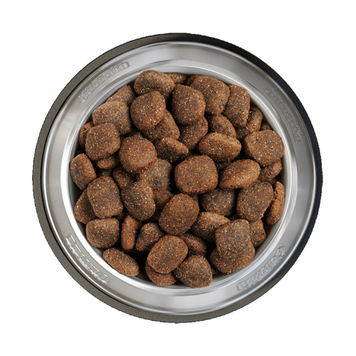 Belcando Ocean Grain Free, pienso para perros natural - Kompymascotas