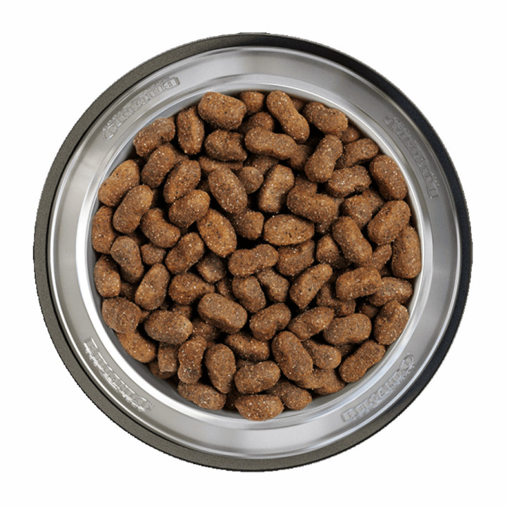 Belcando Junior Grain Free, piensos naturales para perros - Kompymascotas