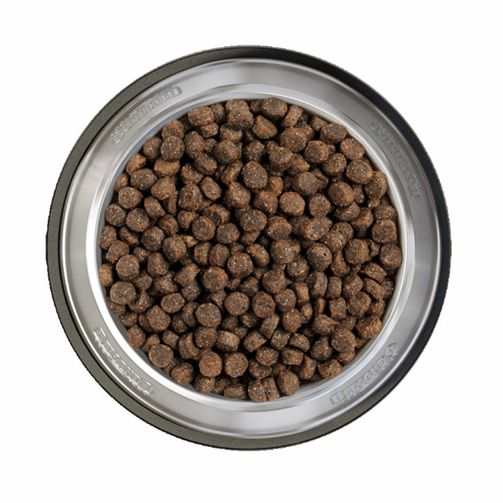 Belcando Grain Free Salmón, piensos naturales para perro - Kompymascotas