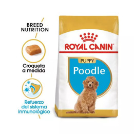 Royal Canin Poodle Puppy - Piensoymacotas