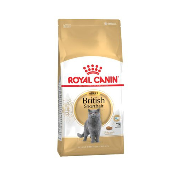 Royal Canin British Shorthair pienso para gato adulto  - Kompymascotas