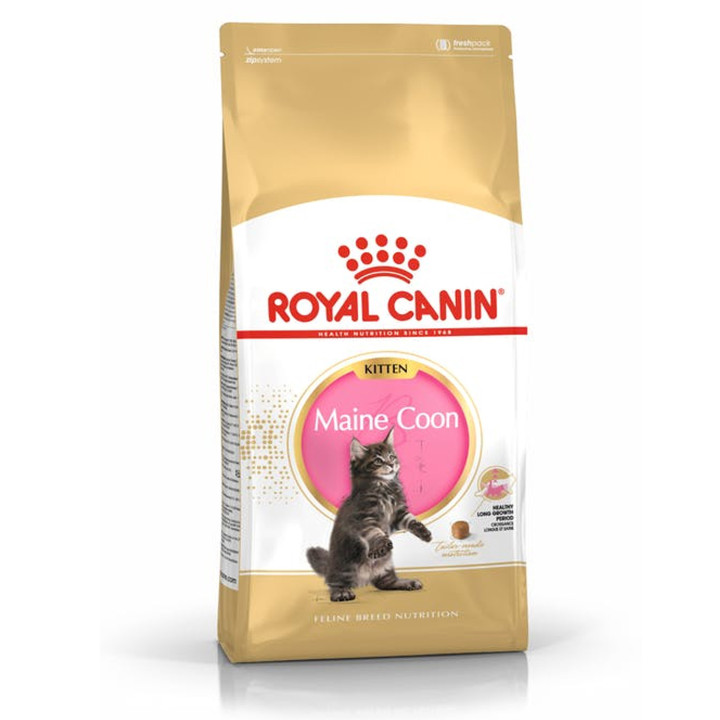 Royal Canin Kitten Maine Coon pienso para gatito - Kompymascotas
