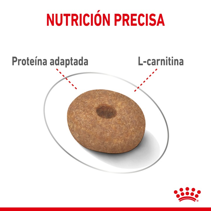 Royal Canin Mini Light Weight Care Pienso para perros - Kompymascotas