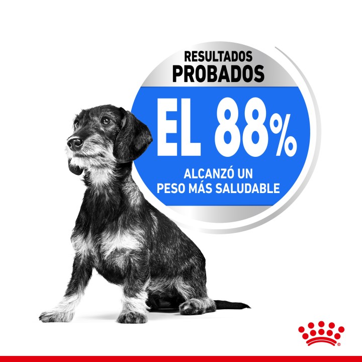 Royal Canin Mini Light Weight Care Pienso para perros - Kompymascotas