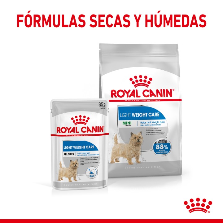 Royal Canin Mini Light Weight Care Pienso para perros - Kompymascotas