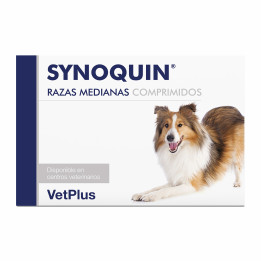 Synoquin, complemento nutricional para perros - Kompymascotas