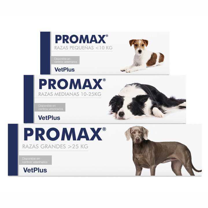 Promax, suplemento nutricional digestivo - Kompymascotas