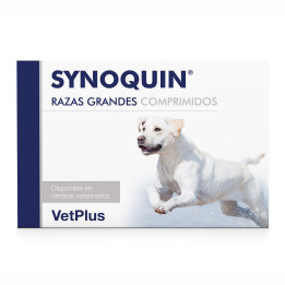 Synoquin Razas grandes, complemento nutricional para perros - Kompymascotas