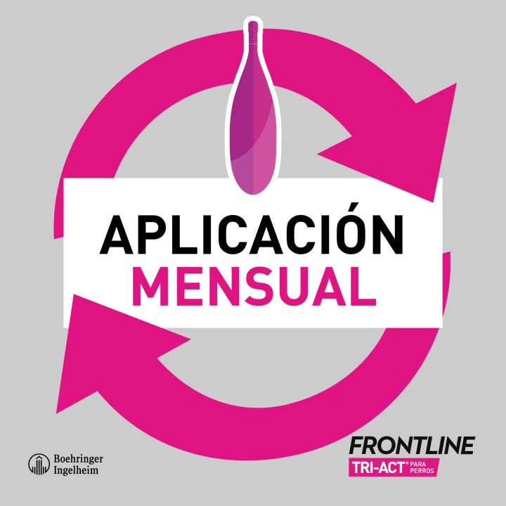 Antiparasitario Frontline Tri-act, Pipetas para perros - Kompymascotas