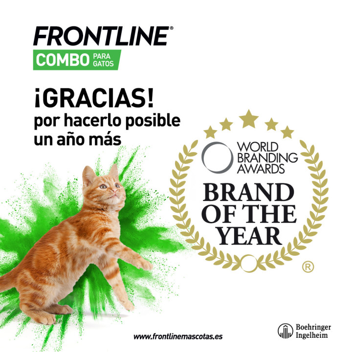 Frontline Combo Spot , Pipetas para gatos - Kompymascotas