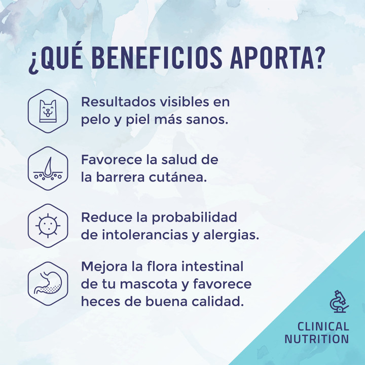 Boske Hypoallergenic Grain Free Alimento Húmedo - Kompymascotas