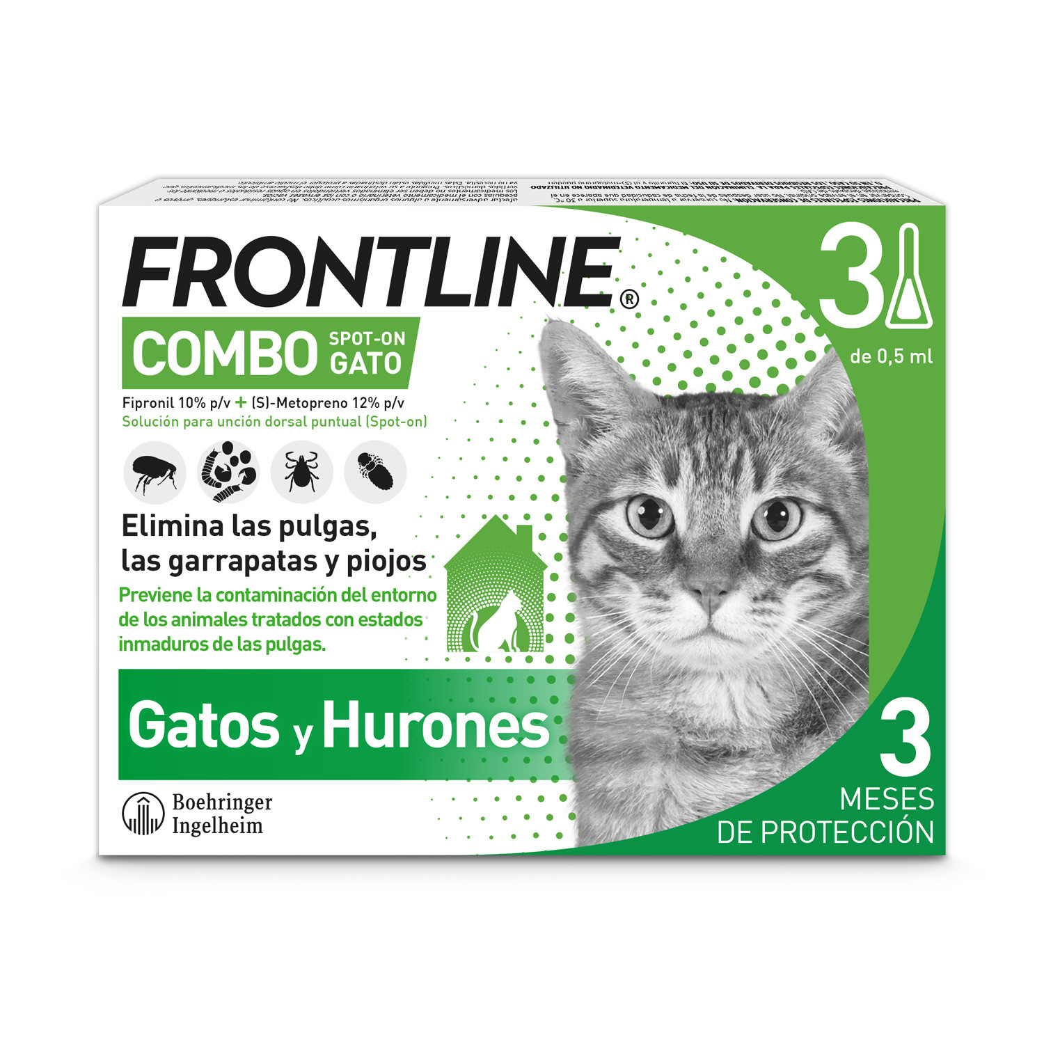Frontline combo gato