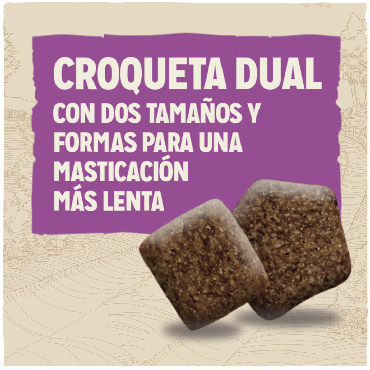 Dog Chow Senior Pollo, pienso para perros - Kompymascotas