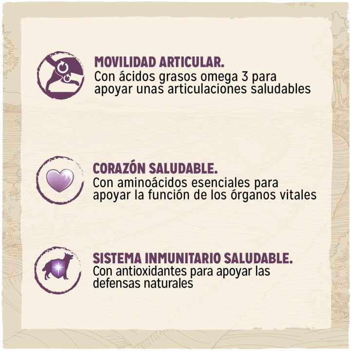 Dog Chow Senior Pollo, pienso para perros - Kompymascotas