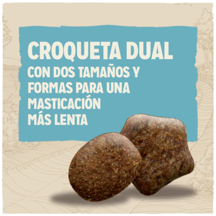 Pienso para perros Dog Chow Puppy Pollo - Kompymascotas