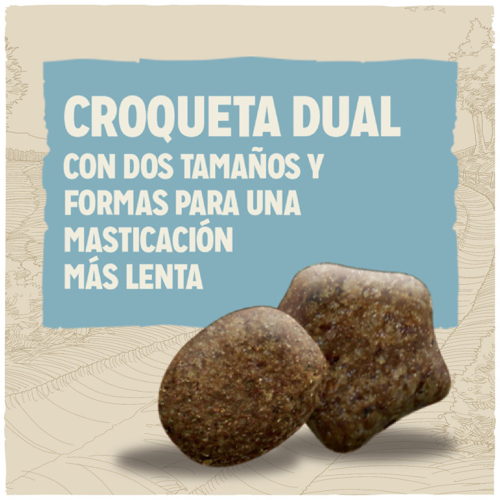 Dog Chow Puppy Cordero, pienso para cachorros - Kompymascotas