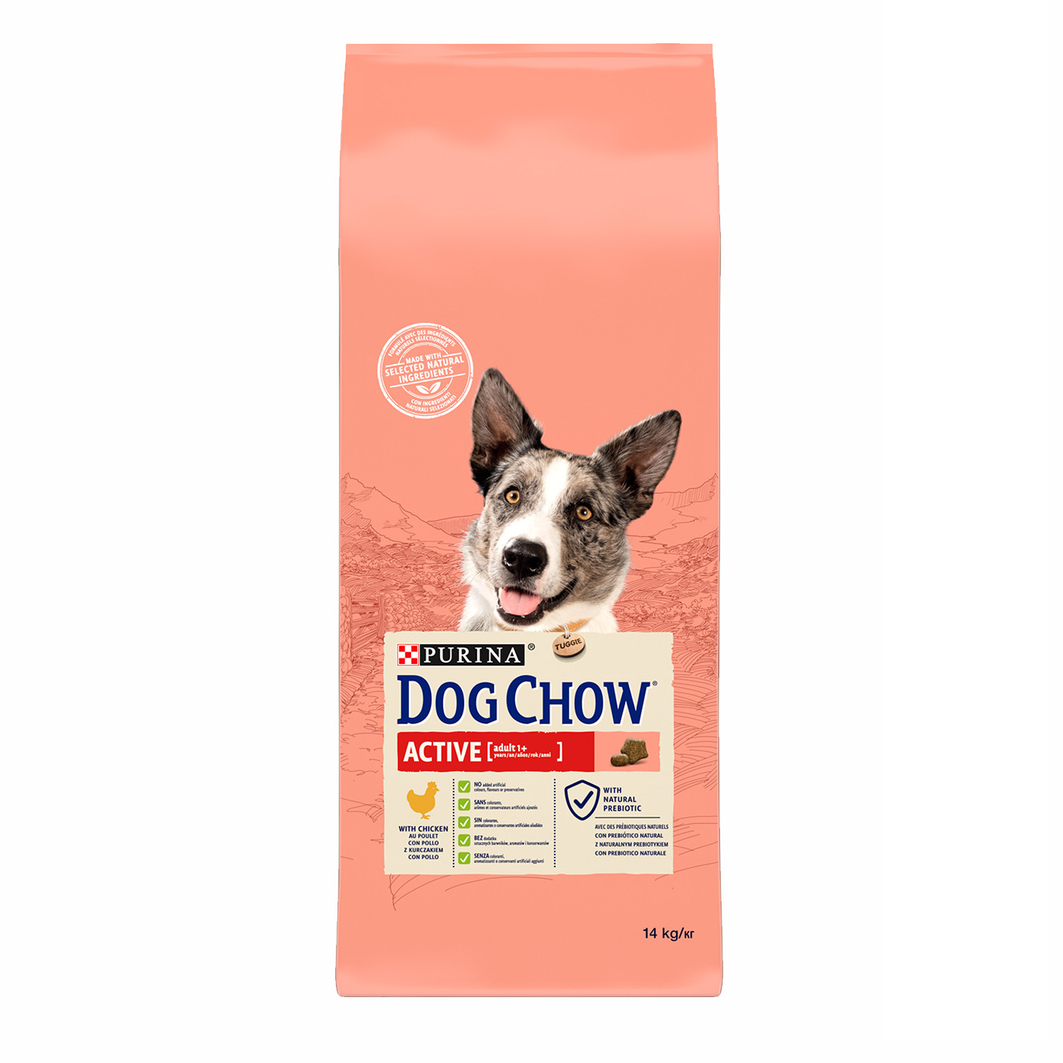 Pienso perros dog chow