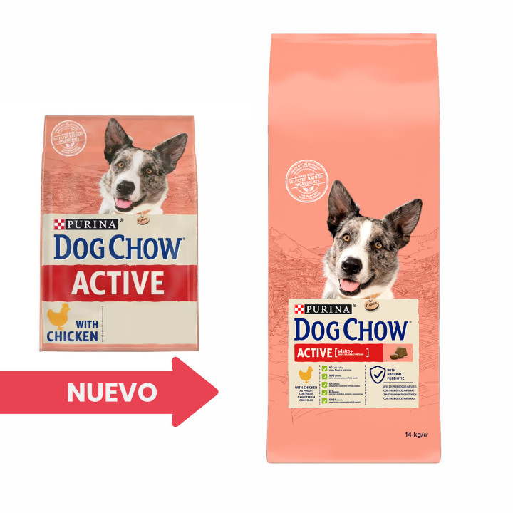 Dog Chow Active Pollo, pienso para perros - Kompymascotas