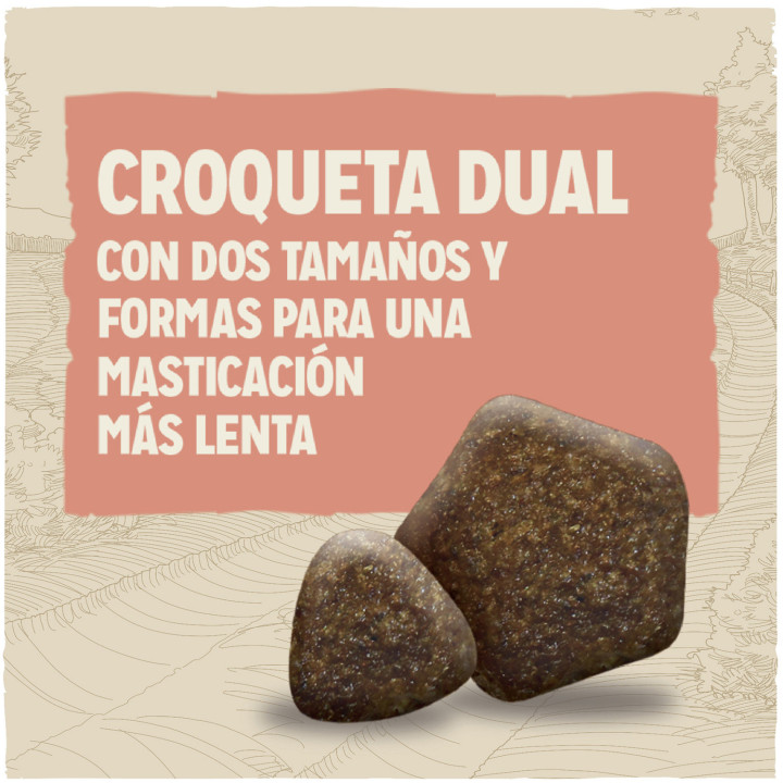 Dog Chow Active Pollo, pienso para perros - Kompymascotas