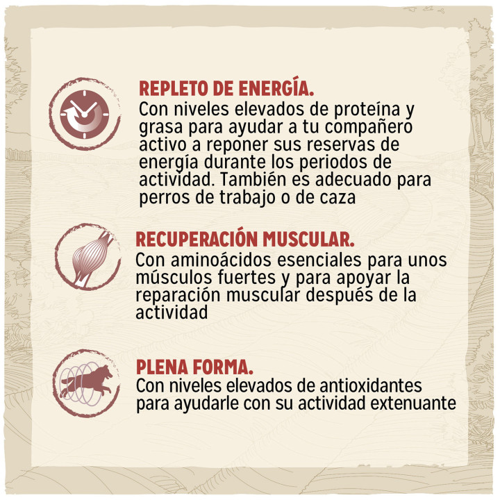 Dog Chow Active Pollo, pienso para perros - Kompymascotas