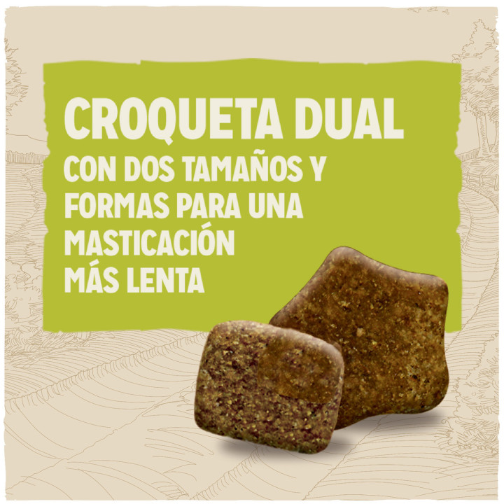 Dog Chow Adult Pollo, pienso para perros - Kompymascotas
