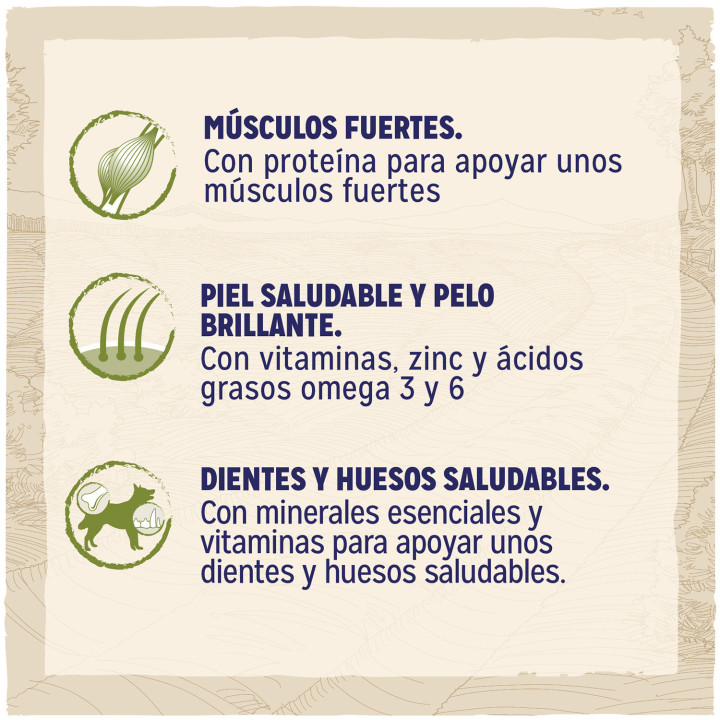 Dog Chow Adult Pollo, pienso para perros - Kompymascotas