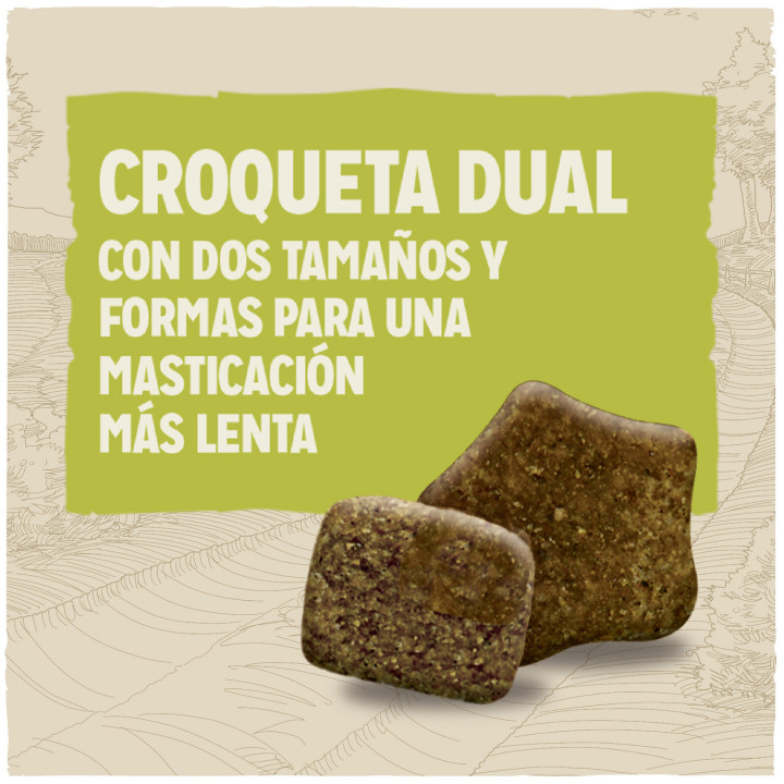 Pienso para perros Dog Chow Adult Cordero - Kompymascotas