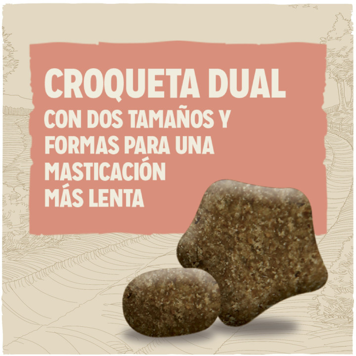 Dog Chow Sensitive Salmón y Arroz, pienso para perros - Kompymascotas